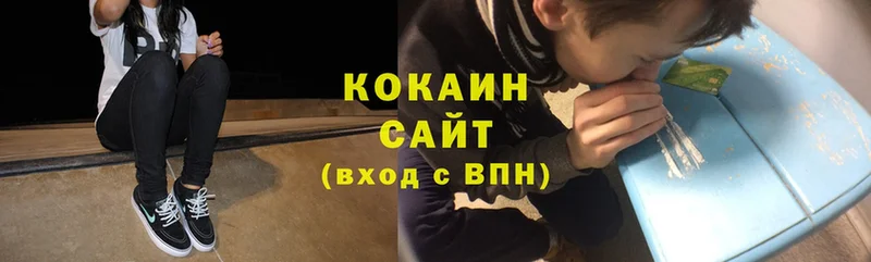 где продают наркотики  Куртамыш  Cocaine FishScale 